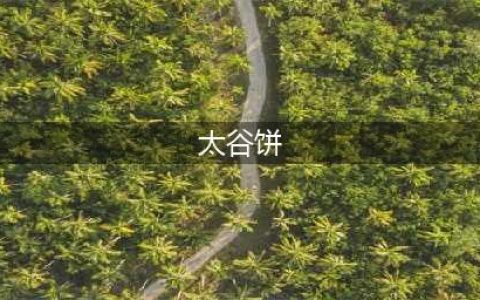 中国记忆 | 山西太谷饼——浓缩晋商精神的美食(太谷饼)