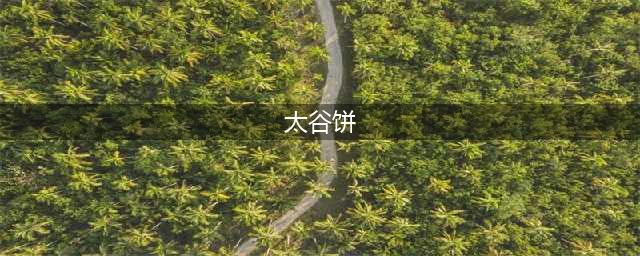 中国记忆 | 山西太谷饼——浓缩晋商精神的美食(太谷饼)