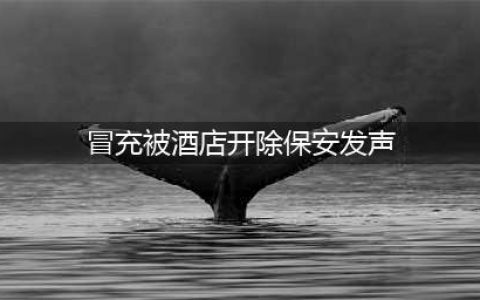 网红辛巴保安冲突事件“大反转”，冒充被酒店开除保安发声道歉(冒充被酒店开除保安发声)