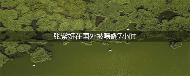 张紫妍案最新细节曝光，曾被带到海外，连续7小时共服务8人(张紫妍在国外被喂嘴7小时)