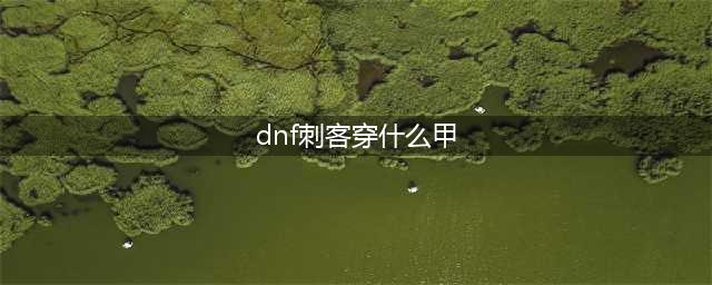 《DNF》刺客选择重甲还是板甲好 刺客95B防具选择攻略(dnf刺客穿什么甲)