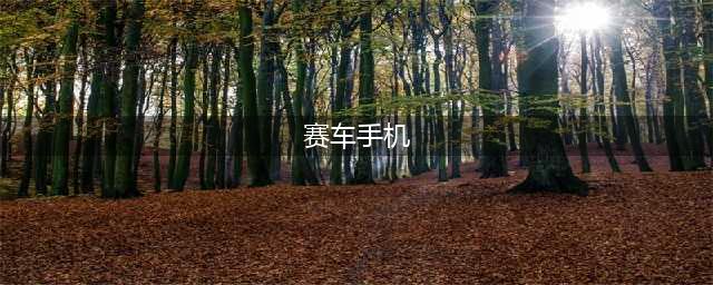 大型赛车游戏手机版合集 大型赛车游戏安卓版2022(赛车手机)