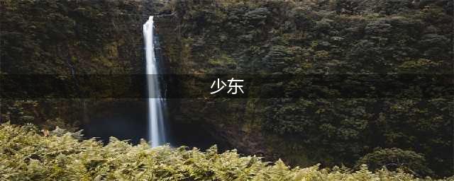 主播少东人见人怕？淘汰孙强以后笑嗨了，这才是真实力(少东)