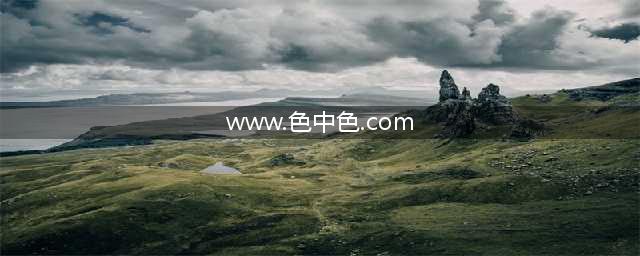 理解色中色=成功用色(www.色中色.com)