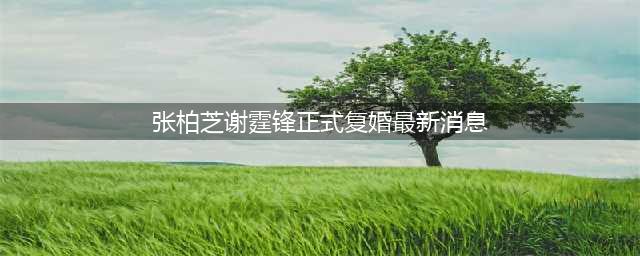 张柏芝与谢霆锋复合？两人有说有笑合体探望谢贤，谢霆锋母亲狄波拉亲自证实(张柏芝谢霆锋正式复婚最新消息)