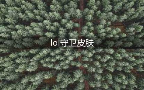 《英雄联盟》守卫皮肤怎么换 守卫皮肤更换教程(lol守卫皮肤)