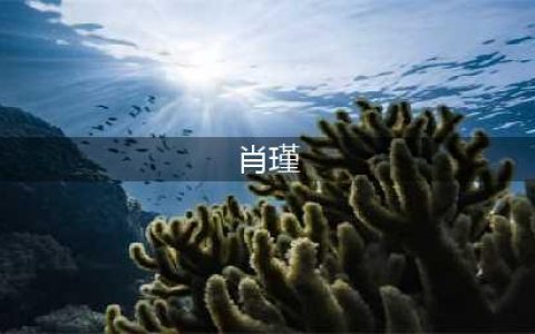 《古剑奇谭3》怎么通关铁匠肖瑾 铁匠肖瑾过关攻略(肖瑾)