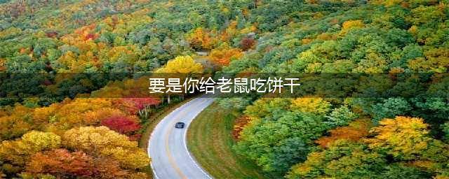 绘本故事《要是你给老鼠吃饼干》(要是你给老鼠吃饼干)