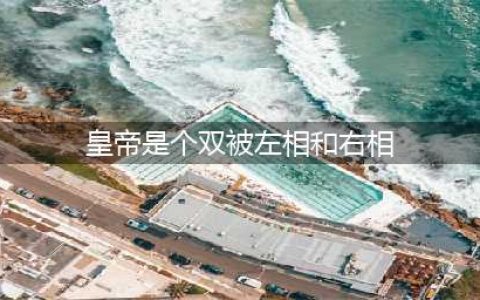 左相、右相是什么意思？谁的权利更大一点？看完就明白了！(皇帝是个双被左相和右相)