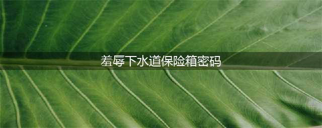 羞辱保险箱密码是什么 羞辱全保险箱密码汇总(羞辱下水道保险箱密码)
