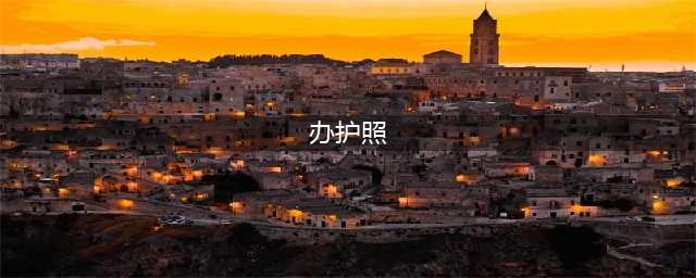手把手教你怎么办护照(办护照)