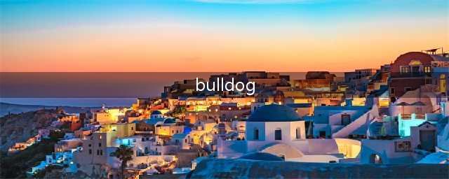 《瓦罗兰特》Bulldog强度怎么样 步枪Bulldog实用性介绍(bulldog)