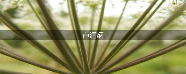 今天告别这位粤菜大咖：独家揭秘“炳胜”创始人不为人知的一面(卢润炳)