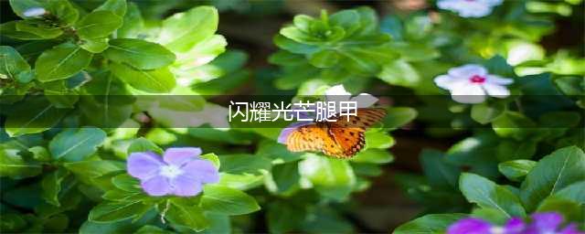 《魔兽怀旧服》闪耀光芒腿甲属性怎么样 闪耀光芒腿甲属性介绍(闪耀光芒腿甲)
