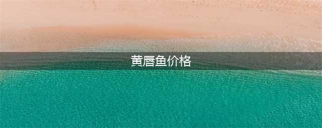 中国最好吃的4种野生鱼及其独特之处(黄唇鱼价格)