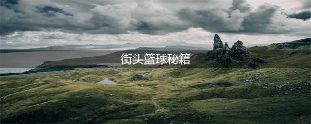 街头篮球手游怎么防守 7大防守秘籍
