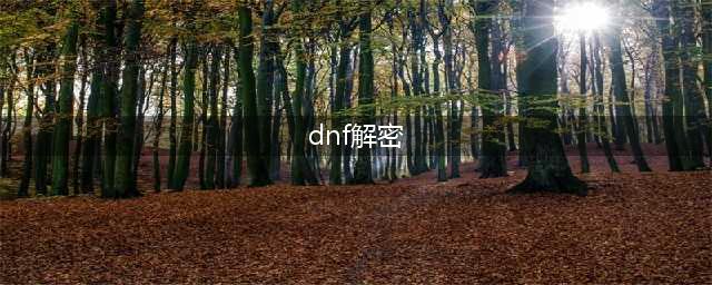 《dnf》数字解密答案2022汇总 数字解谜玩法介绍(dnf解密)
