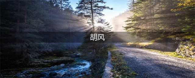 1955年：胡风事件始末(胡风)