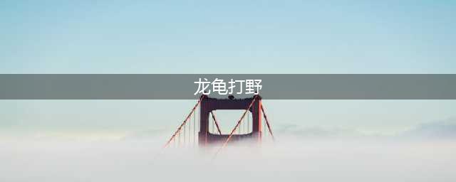 英雄联盟龙龟重做后如何打野 龙龟打野教学(龙龟打野)