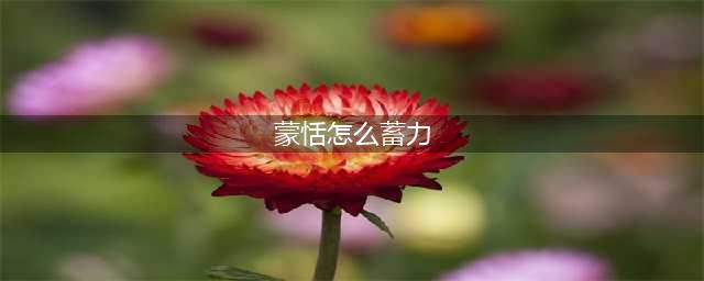 王者荣耀蒙恬怎么蓄力 蒙恬二技能蓄力操作方法