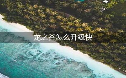 《龙之谷2》如何快速升级 快速升级方法(龙之谷怎么升级快)