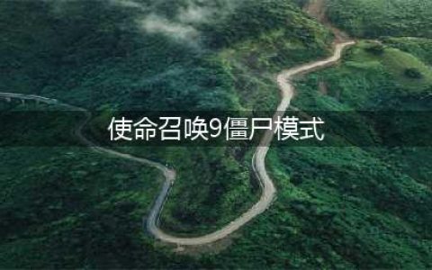 《使命召唤9》僵尸模式怎么进不去 僵尸模式无法进入解决方法(使命召唤9僵尸模式)