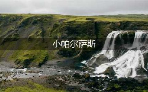 《洛克王国》超级帕尔萨斯一览 超级帕尔萨斯厉害吗(小帕尔萨斯)