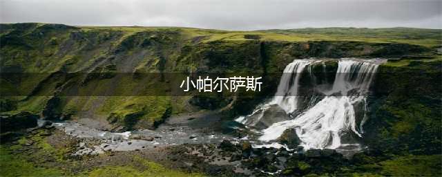 《洛克王国》超级帕尔萨斯一览 超级帕尔萨斯厉害吗(小帕尔萨斯)