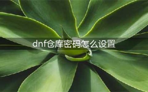 《dnf》仓库密码在哪设置 设置技巧分享(dnf仓库密码怎么设置)