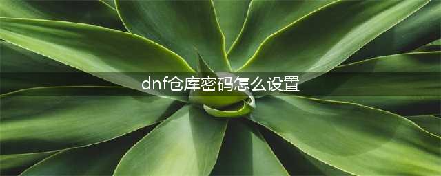《dnf》仓库密码在哪设置 设置技巧分享(dnf仓库密码怎么设置)