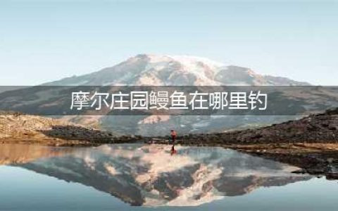 摩尔庄园鳗鱼在哪里钓 鳗鱼刷新位置介绍