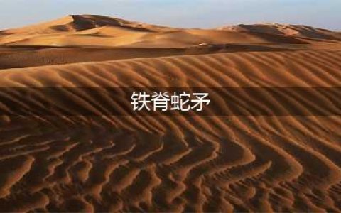 《三国群英传8》铁脊蛇矛属性怎么样 铁脊蛇矛属性一览(铁脊蛇矛)