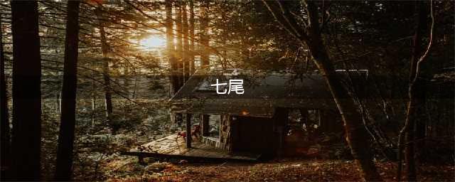 《火影忍者手游》七尾技能是什么 七尾人柱力技能强度解析(七尾)