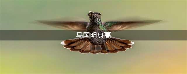 24位180cm以上香港娱圈男艺人 男神吴彦祖、黄宗泽、马国明在列(马国明身高)