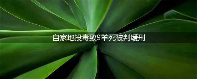 自家地投毒致9羊死被判缓刑(自家地投毒致9羊死被判缓刑)