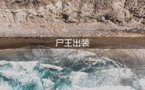 《dota2》不朽尸王怎么出装 不朽尸王出装玩法攻略(尸王出装)