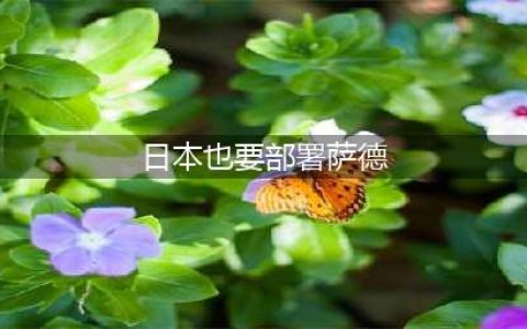 日本也要部署“萨德”? 专家:损害东北亚国家利益(日本也要部署萨德)