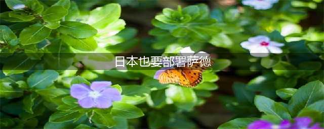 日本也要部署“萨德”? 专家:损害东北亚国家利益(日本也要部署萨德)