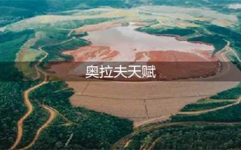 英雄联盟手游奥拉夫带什么天赋好 奥拉夫天赋一览