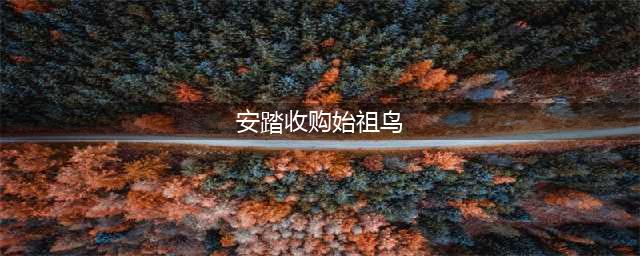 安踏买下始祖鸟后，中产买不起了(安踏收购始祖鸟)