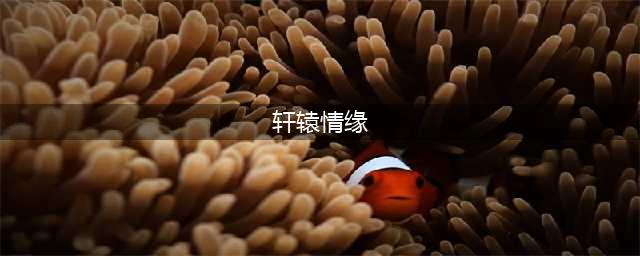 轩辕情缘好玩吗 轩辕情缘玩法简介