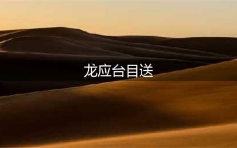 龙应台：目送（感人经典）(龙应台目送)