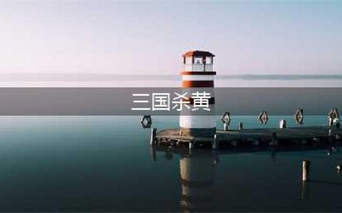 三国杀十周年新武将黄权技能解析