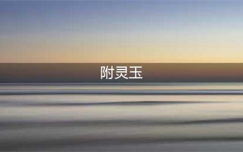 梦幻西游附灵玉加多少灵力