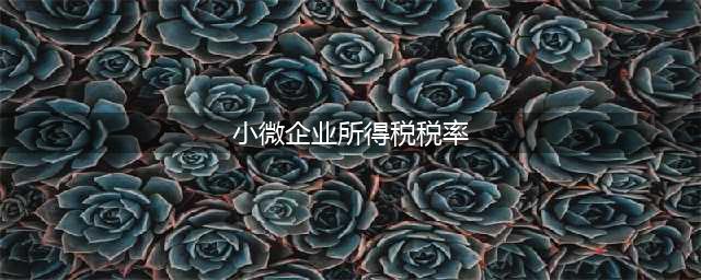 优惠税率政策继续实行-小微企业所得税税率按5%征收(小微企业所得税税率)