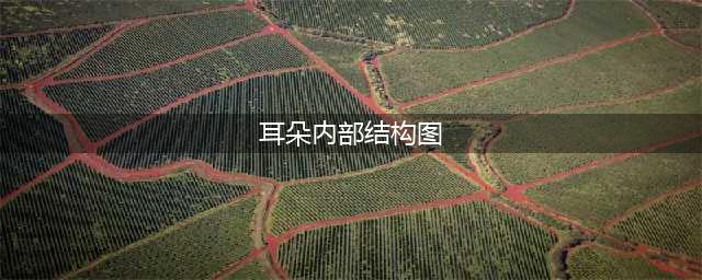 人体耳朵的结构：耳道图解(耳朵内部结构图)