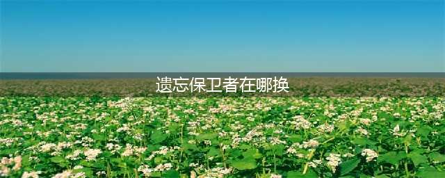 魔兽猎人T6套材料怎么获得(遗忘保卫者在哪换)
