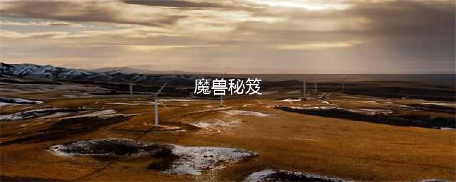 《魔兽》秘籍有哪些 魔兽秘籍大全介绍(魔兽秘笈)