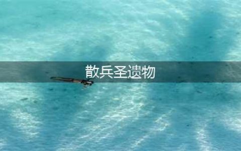 原神散兵武器圣遗物推荐