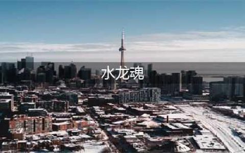 水龙魂是什么作用